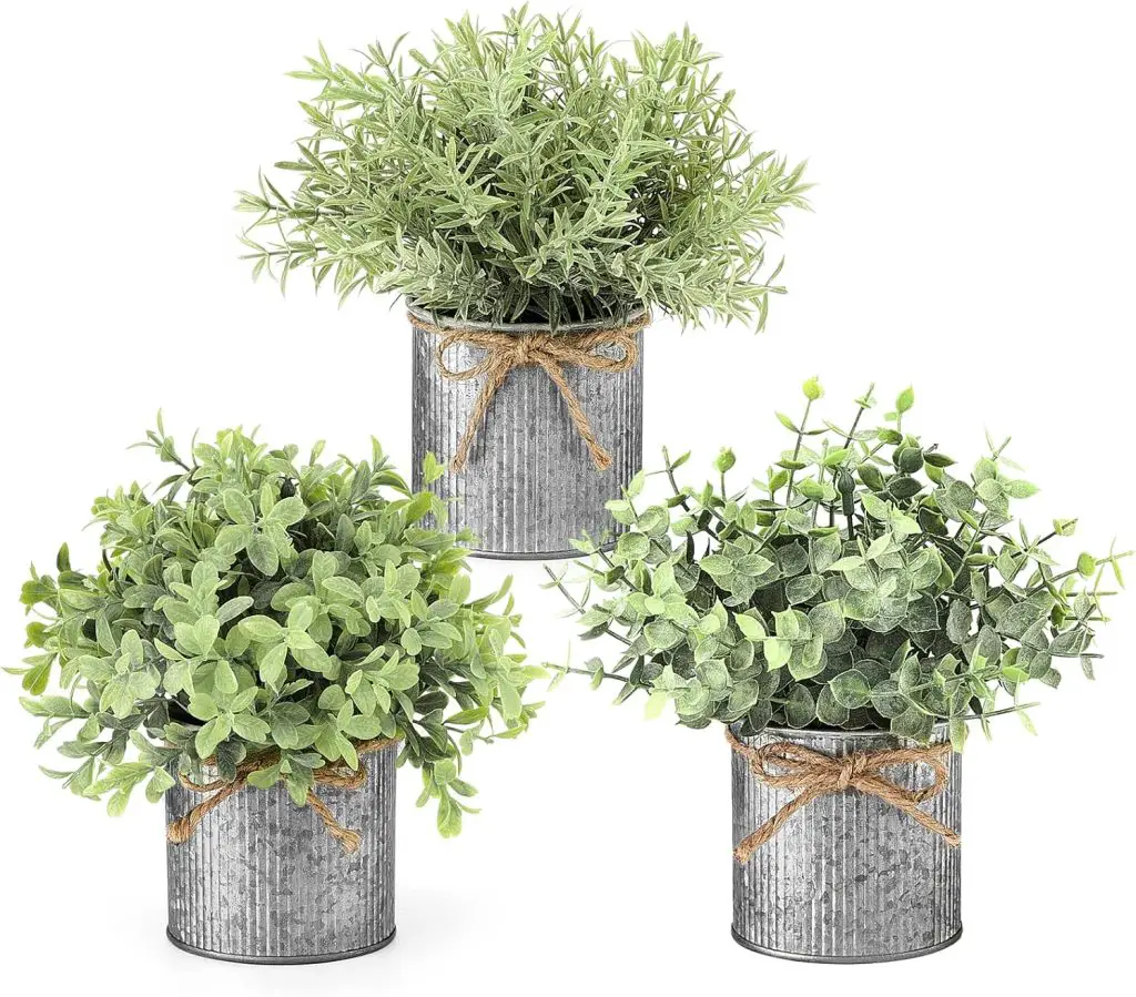 Three small potted plants in rustic metal containers, adorned with twine bows.