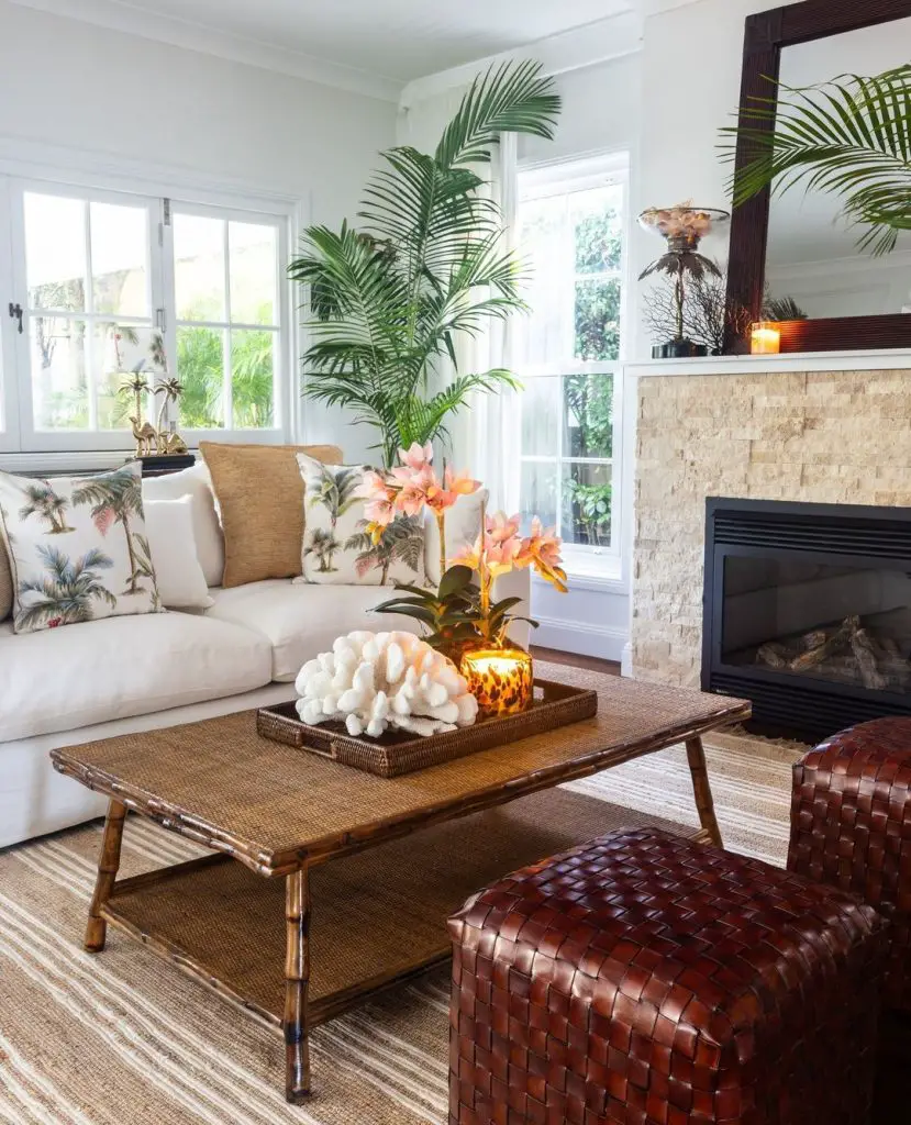 Tropical-inspired living room with palm tree and coastal decor