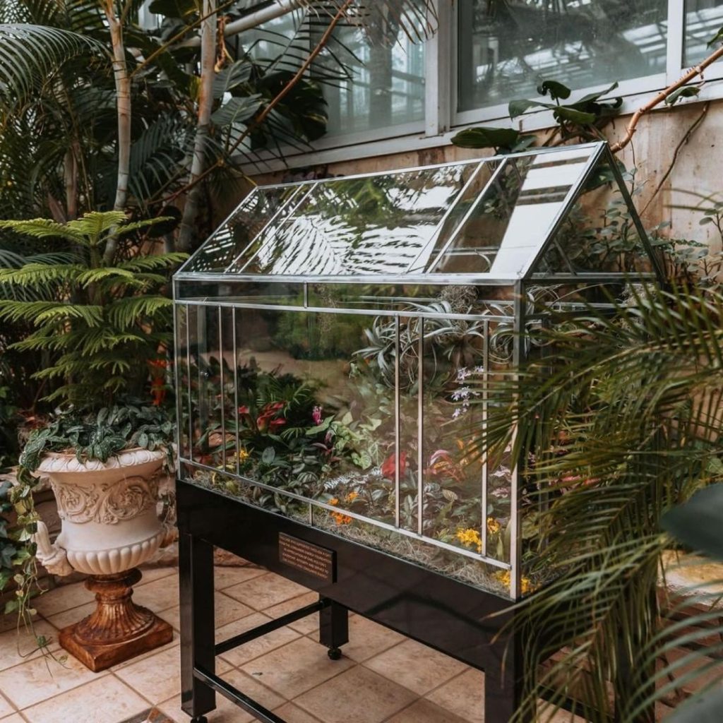 Glass greenhouse on wheels surrounded by lush indoor plants