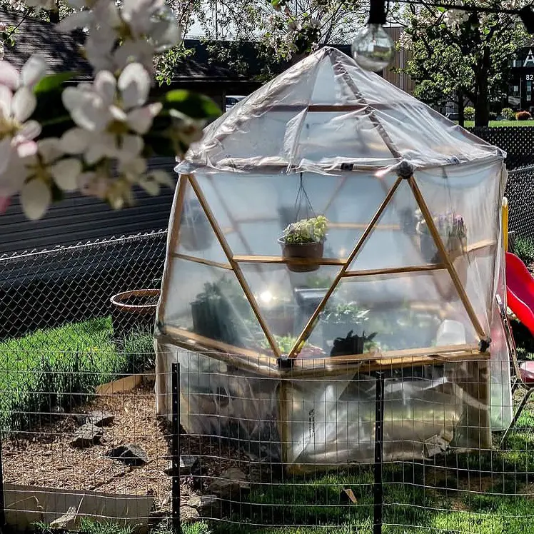 Geodesic dome greenhouse in backyard with blooming trees nearby