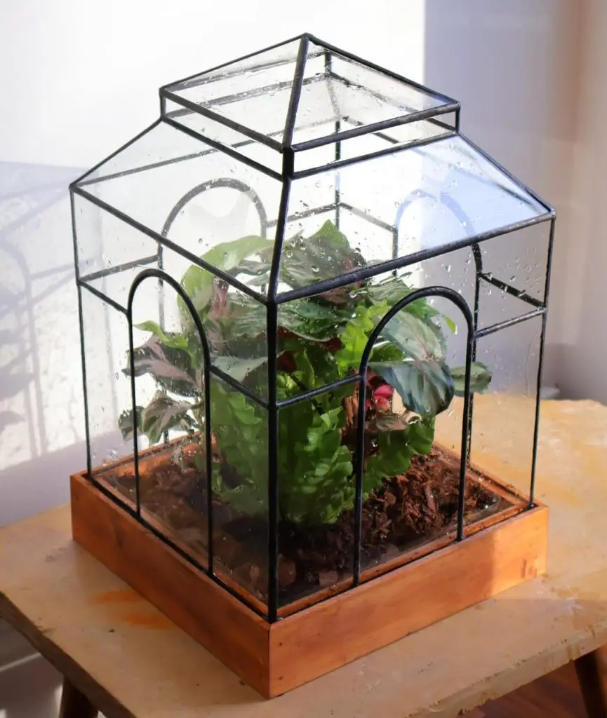 Glass terrarium with thriving miniature garden inside