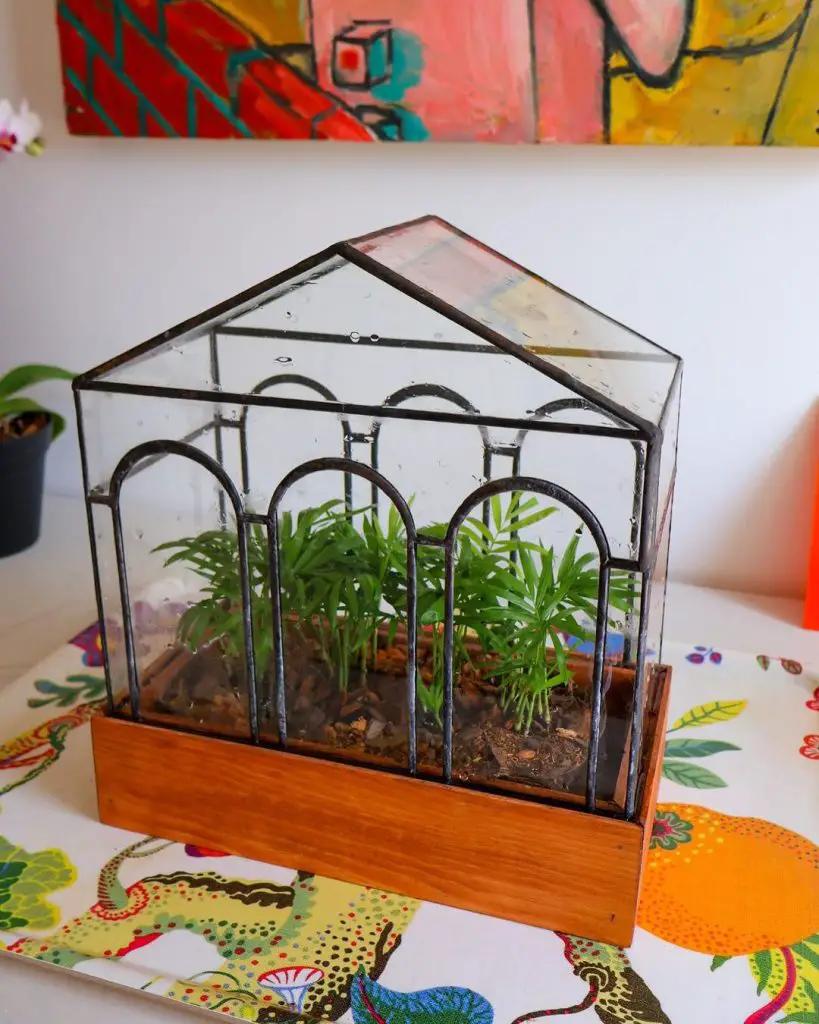 Glass terrarium shaped like small house with ferns inside on colorful tablecloth