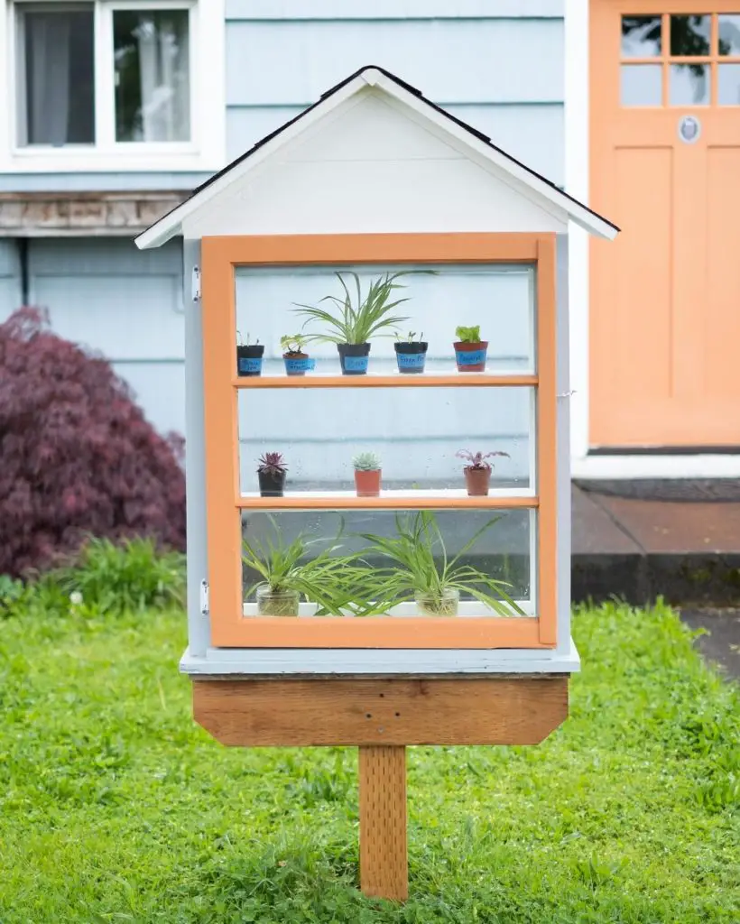 Small greenhouse display with potted plants on lawn