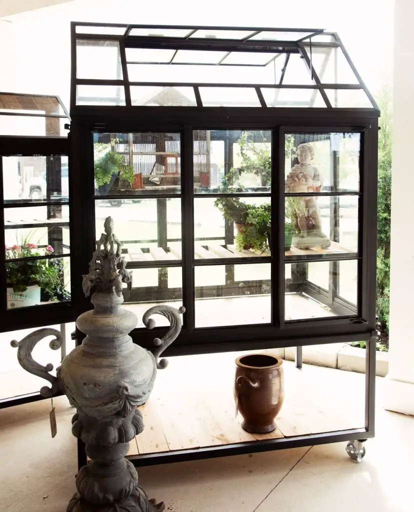 Black-framed glass greenhouse cabinet on wheels with plants inside