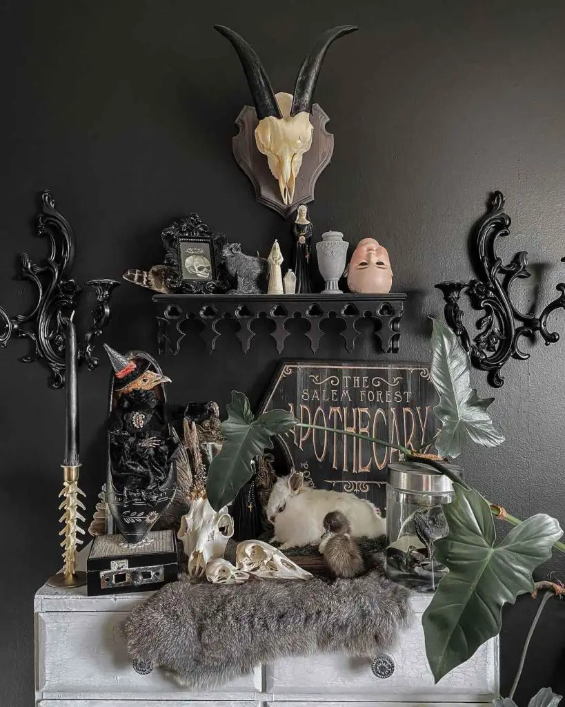 Gothic Halloween display with skulls mystical objects and dark decor