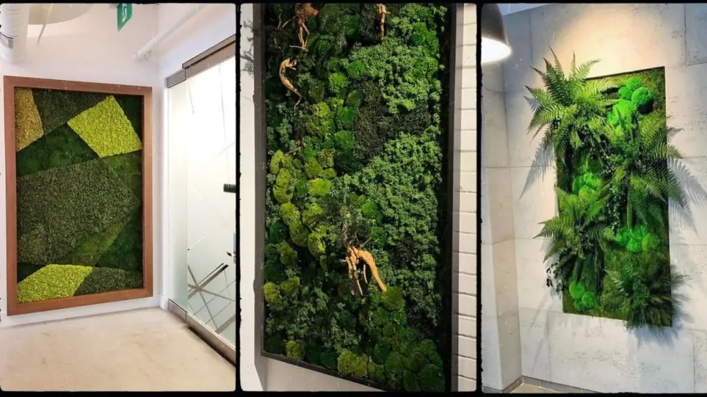47 Stunning Plant Wall Ideas Indoor