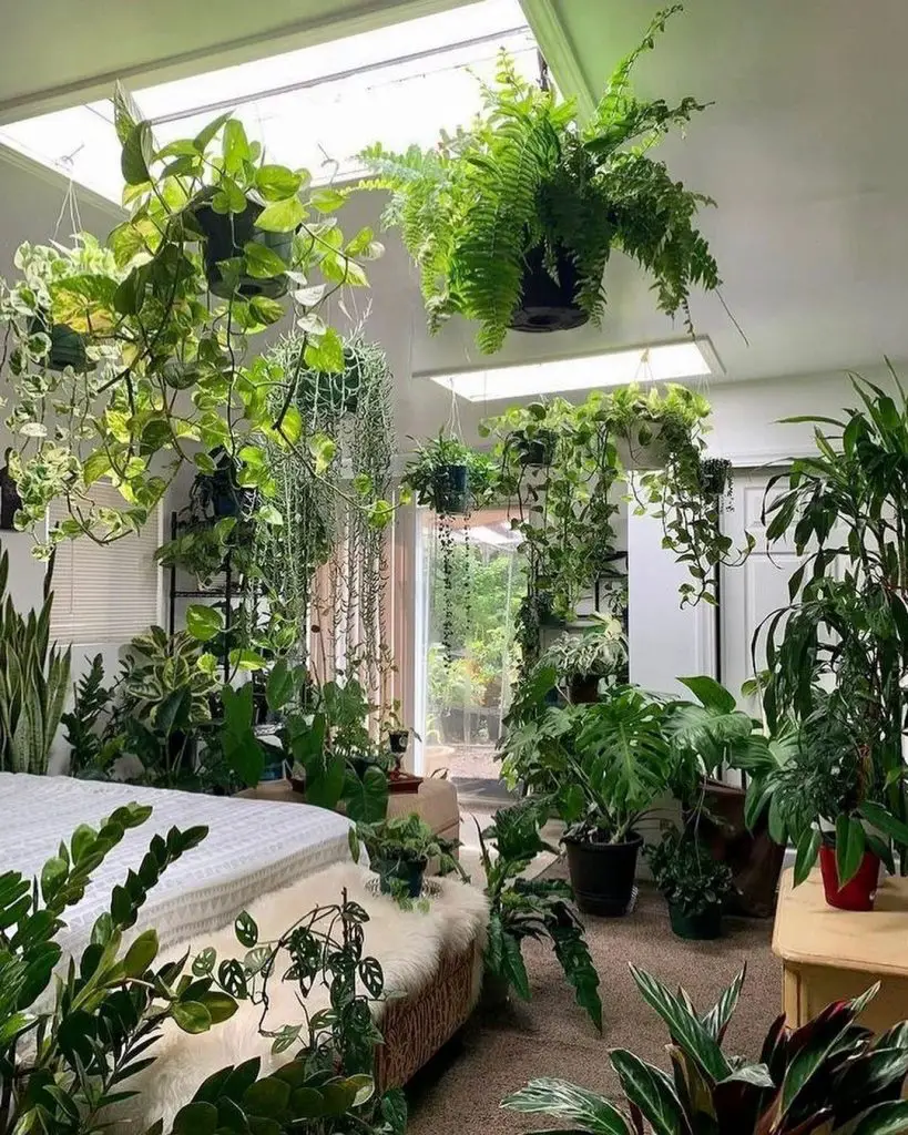 Tropical bedroom oasis with hanging plants and natural skylights