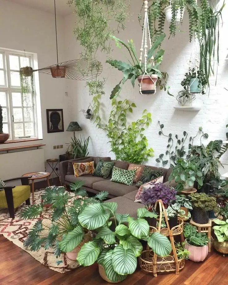 Boho living room transformed into indoor jungle with hanging plants