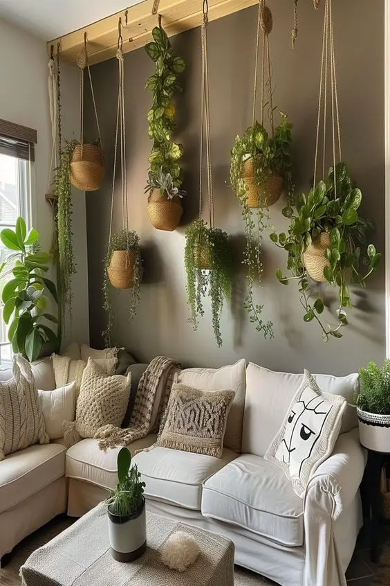 Suspended woven basket planters above white sectional creating living canopy