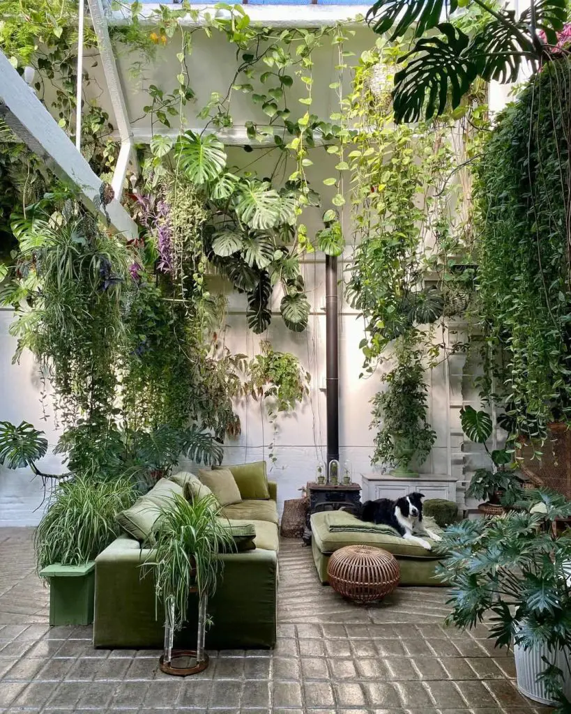 Luxuriant indoor garden room with green velvet seating and hanging tropical plants