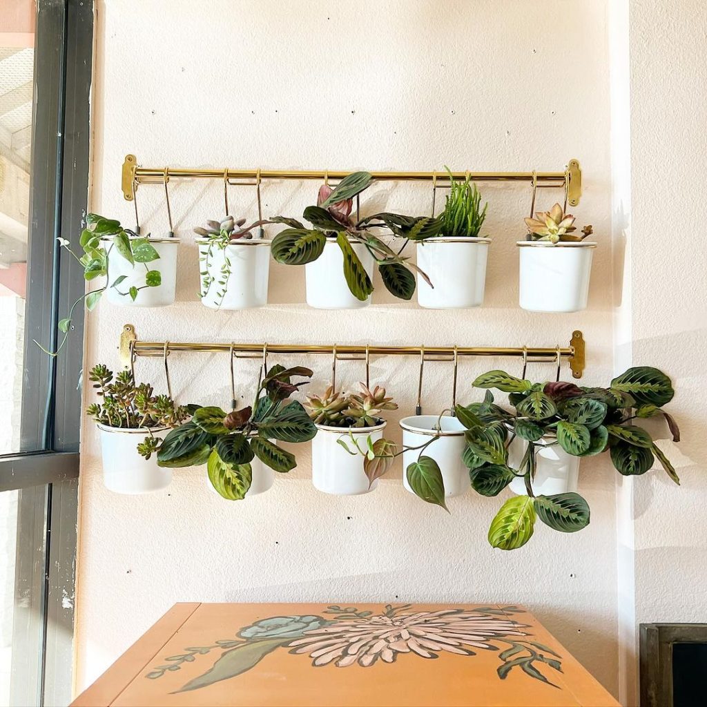 Brass rail mounted indoor plant holders