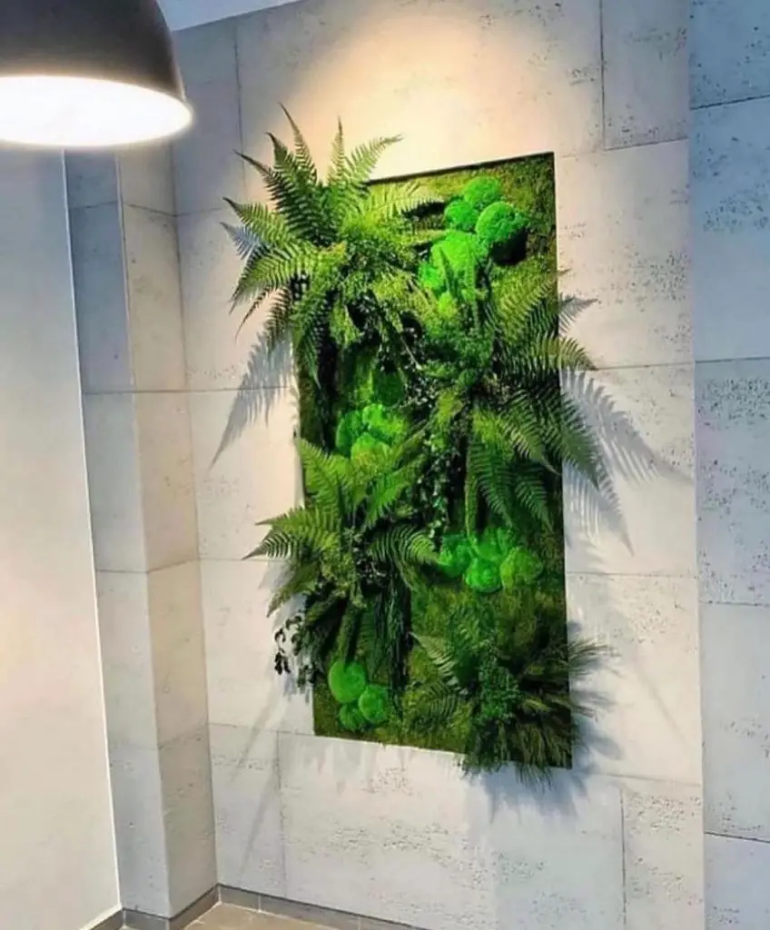 Illuminated moss wall with dramatic fern shadows
