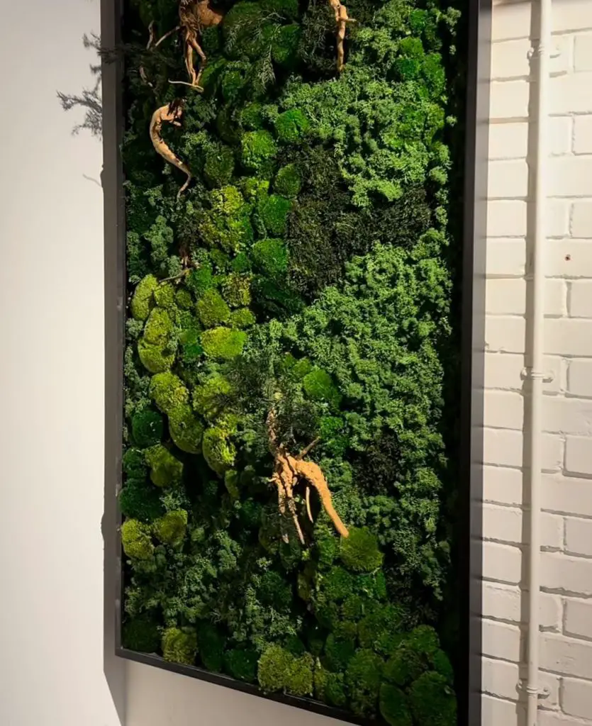 Framed moss wall art with natural wood