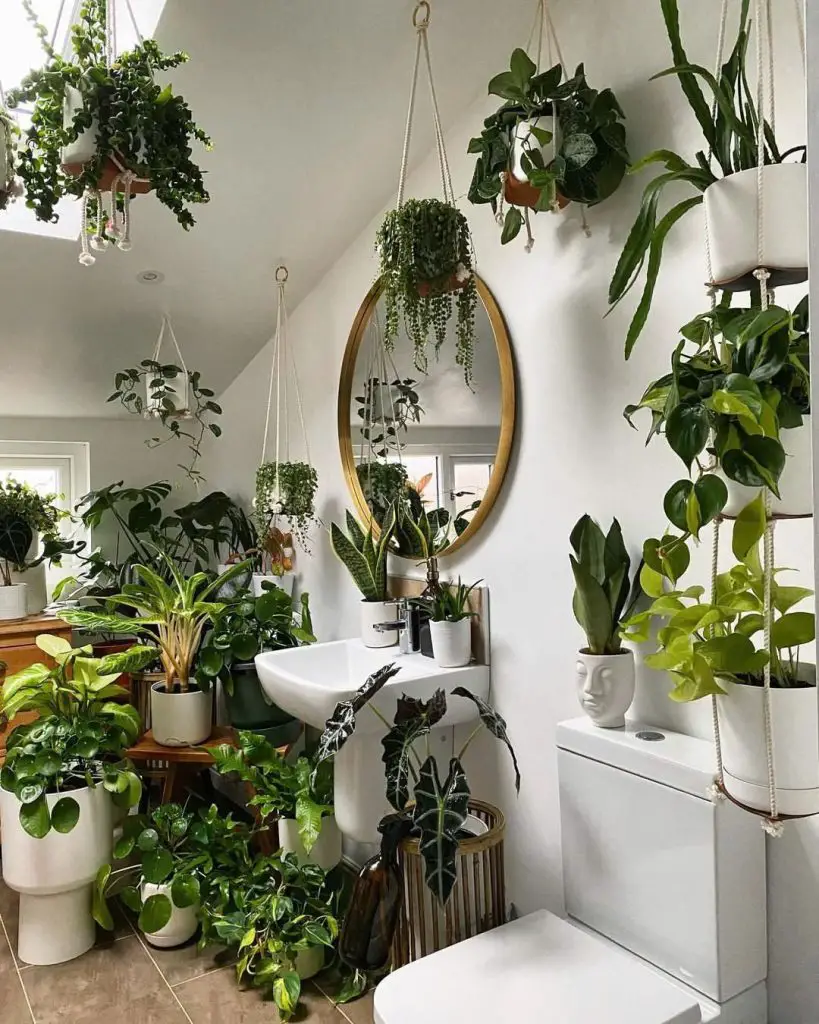 Bright bathroom filled with hanging and potted plants gold mirror modern fixtures and white ceramic planters