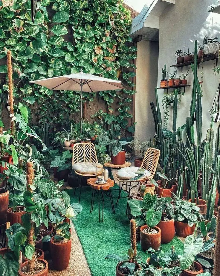 Cozy patio corner with climbing plants, rattan furniture, and tropical greenery creating natural outdoor living room
