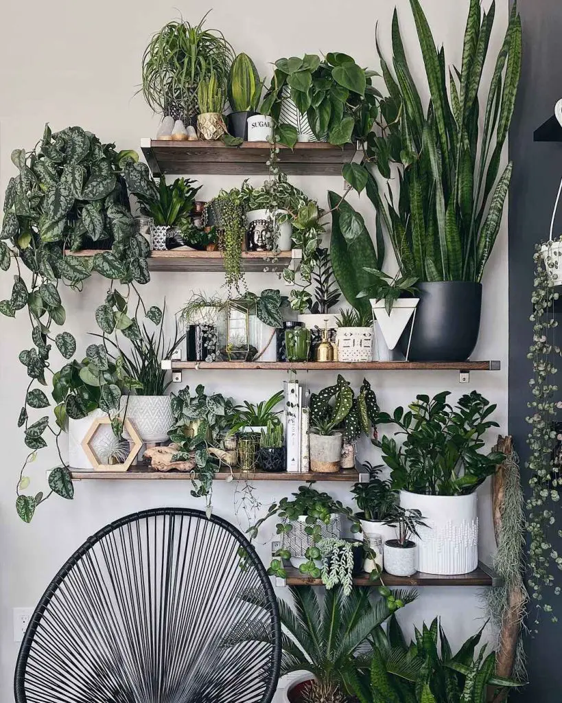 Bohemian plant shelves with modern chair
