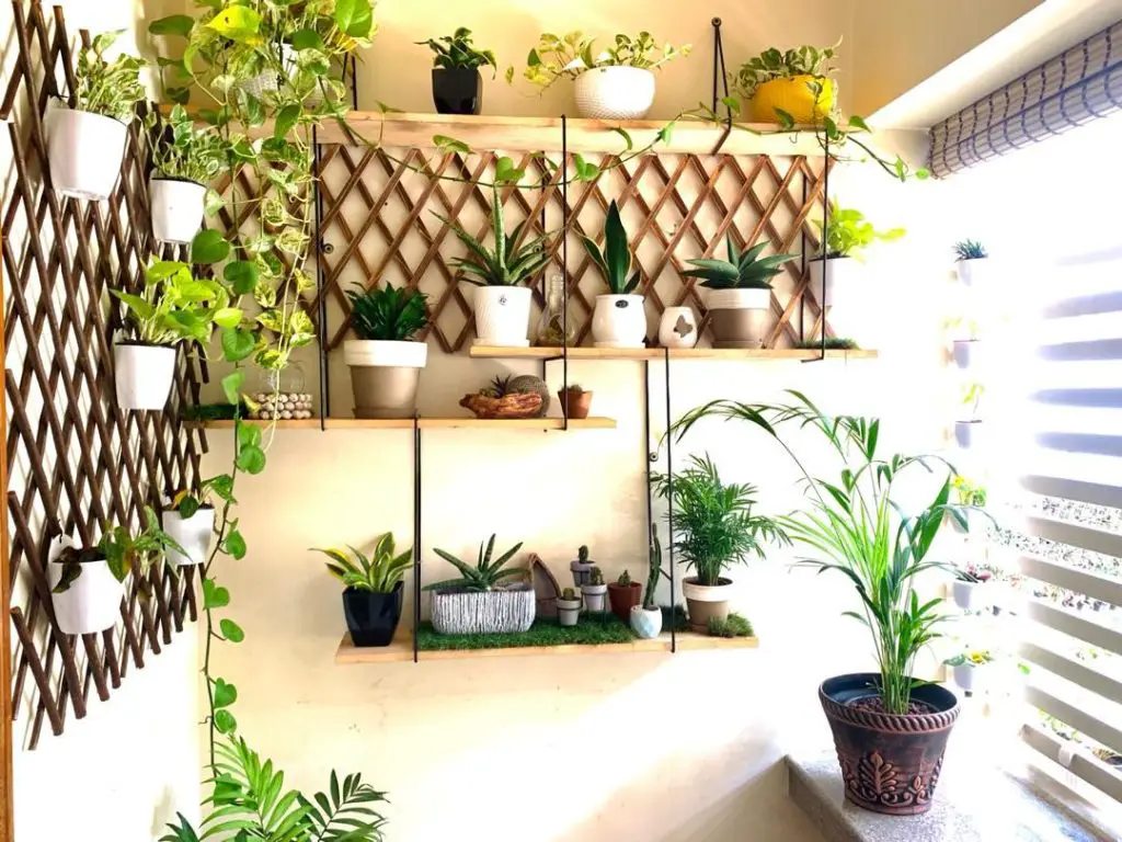 Contemporary plant wall featuring wooden lattice and floating shelves with diverse greenery