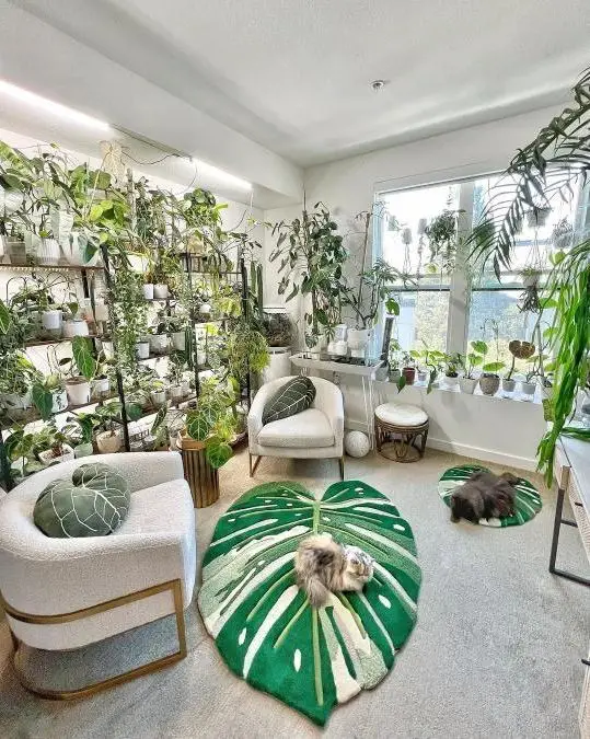 Bright room with floor to ceiling plant shelving white chairs and decorative monstera leaf rugs where cats rest