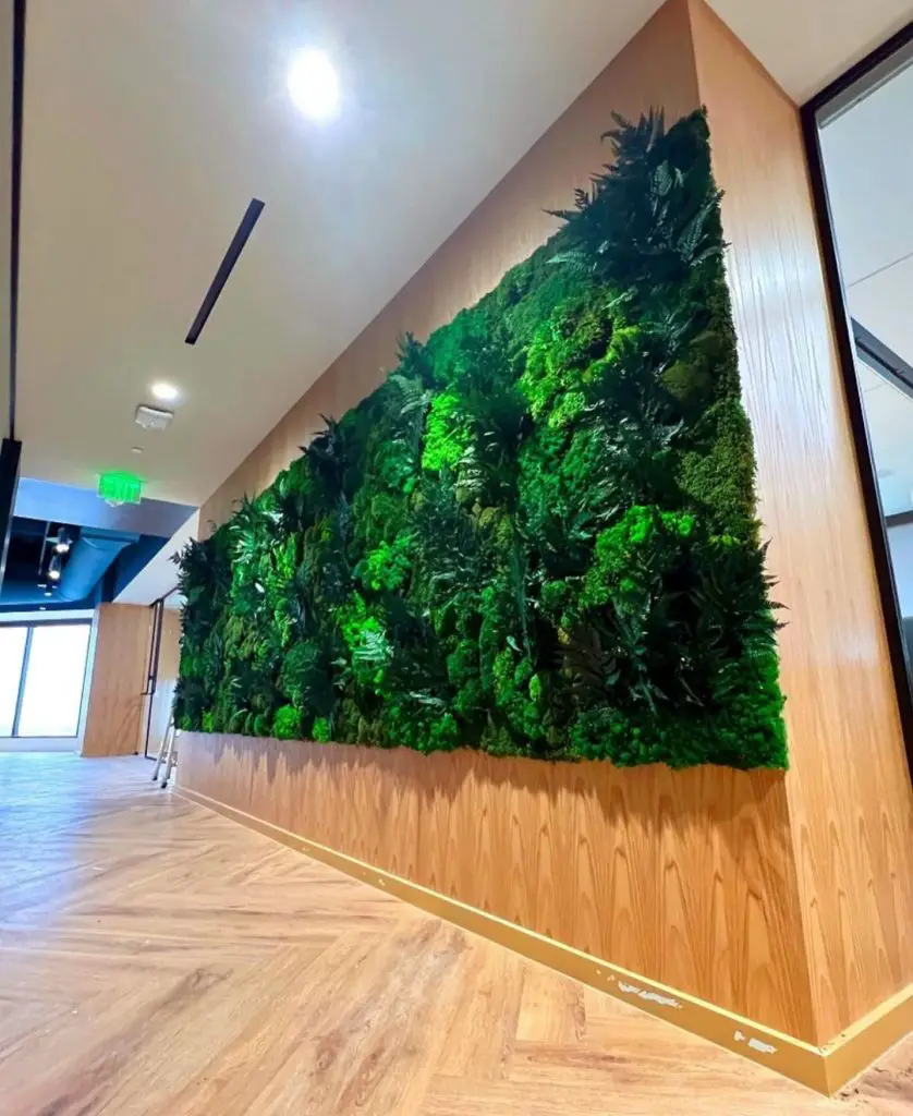 Angular preserved moss wall in hallway