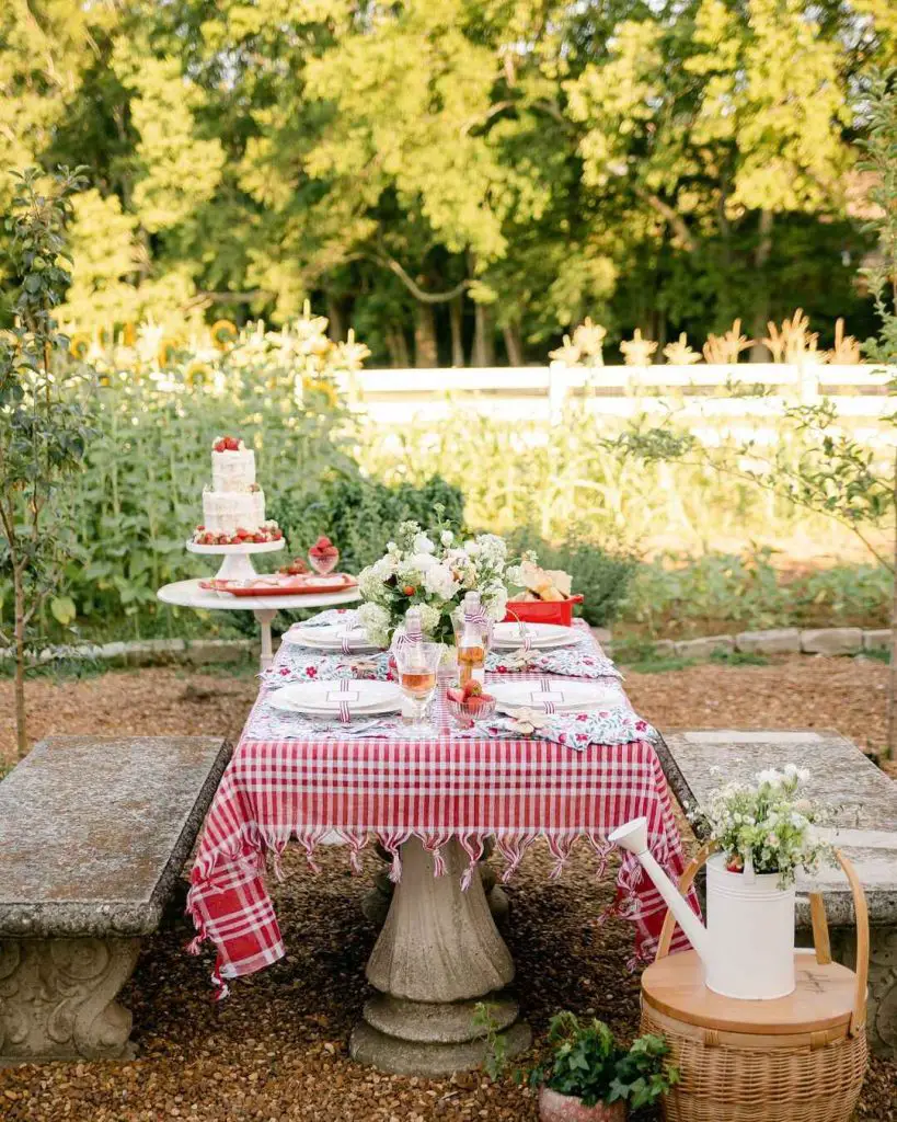 Garden table setting with red gingham tablecloth strawberry cake and stone benches