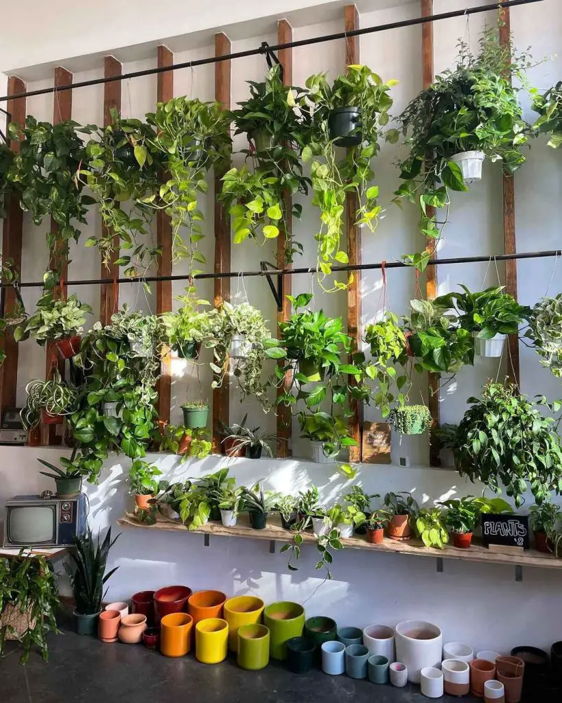 Wood beam plant wall with colorful pots
