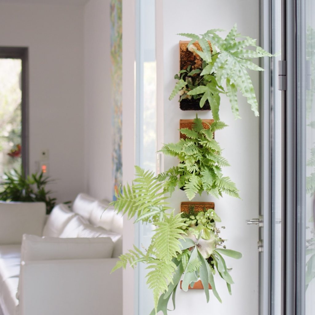 Vertical fern arrangement beside sunny window in minimalist room