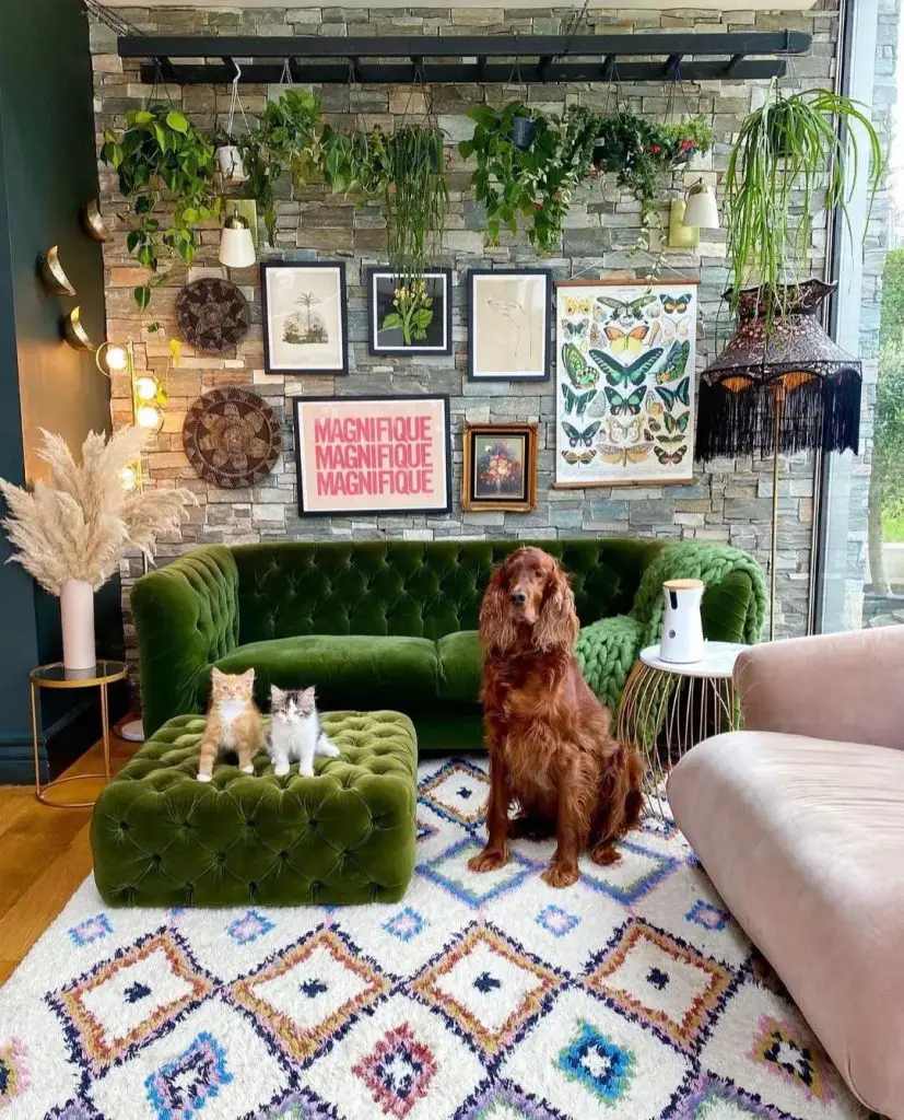 Living room with hanging plants on black beam above green velvet couch and gallery wall