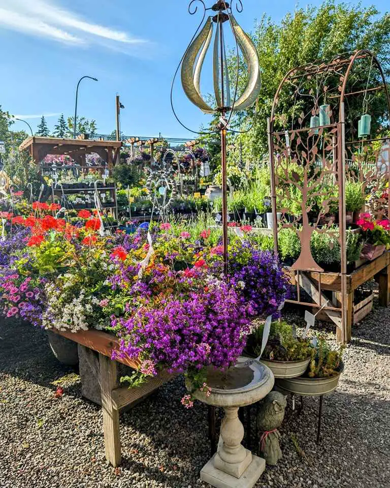 Wooden table with colorful flowers, a metal wind spinner, and a birdbath in a garden center