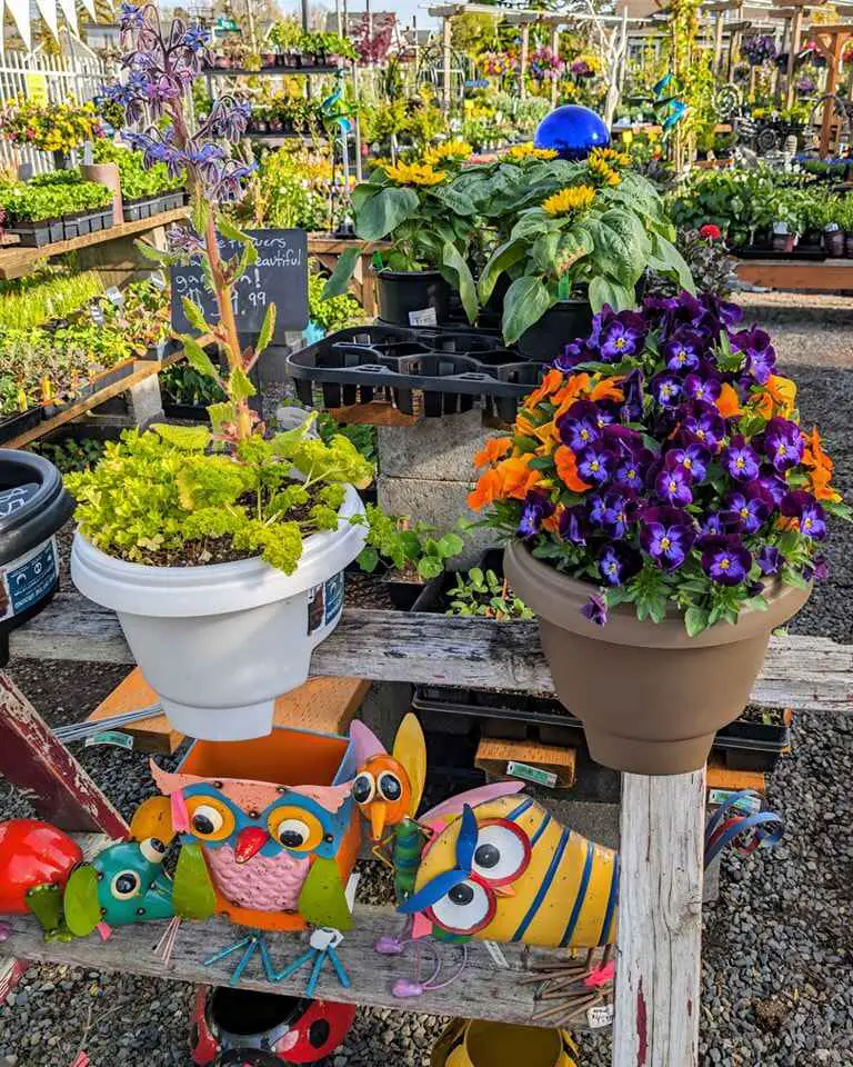 Potted plants with colorful flowers and whimsical owl garden decor at a garden center.