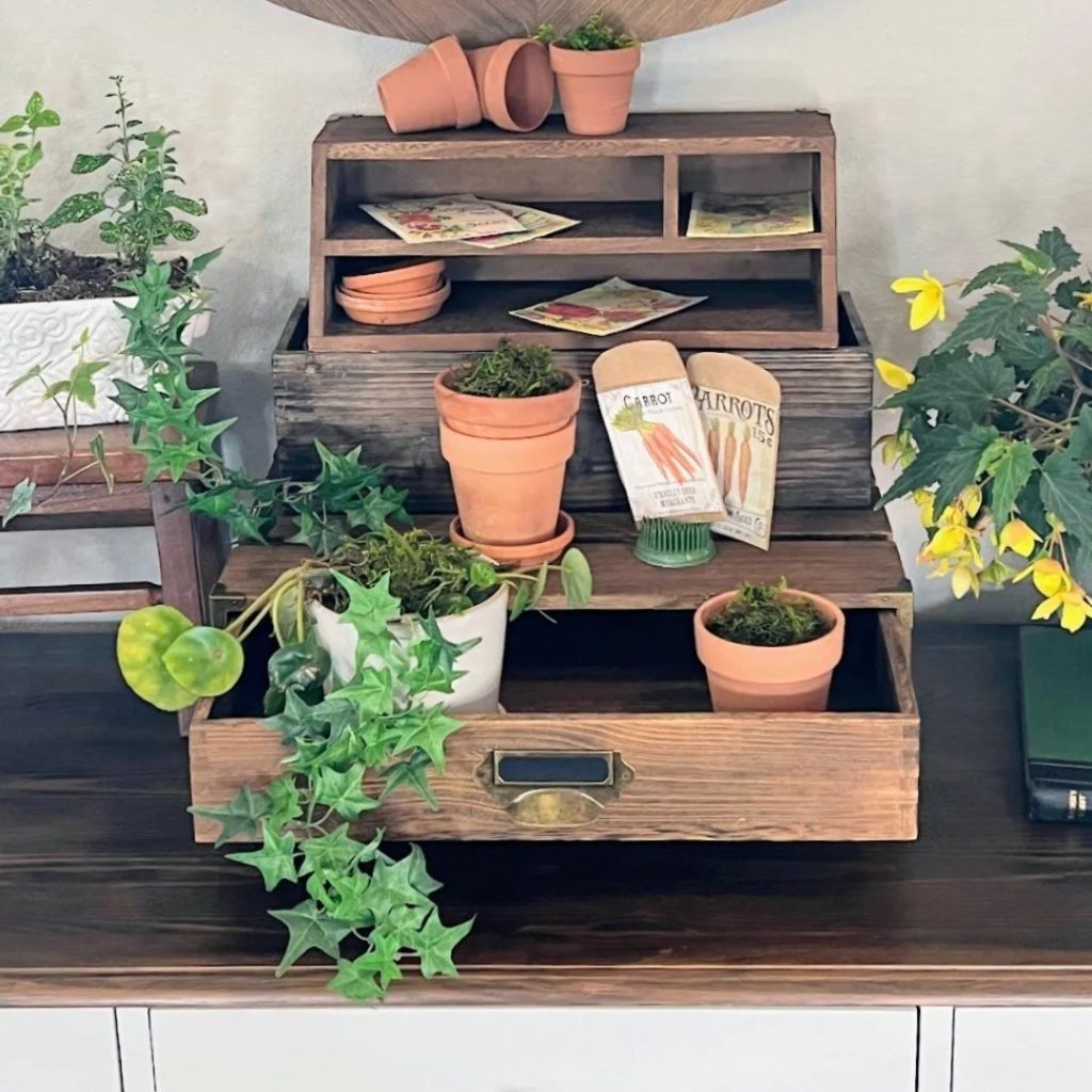 Indoor gardening display with terracotta pots, plants, and seed packets