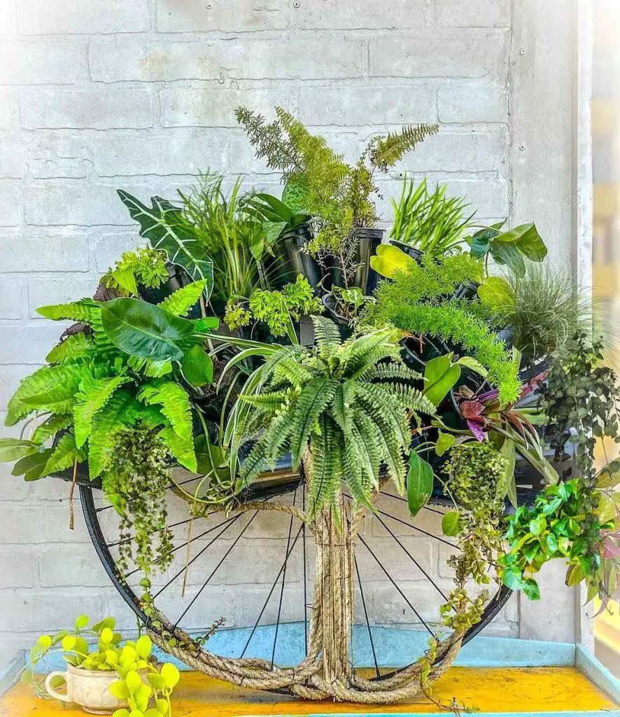 Bicycle wheel planter filled with various green plants and a decorative pot