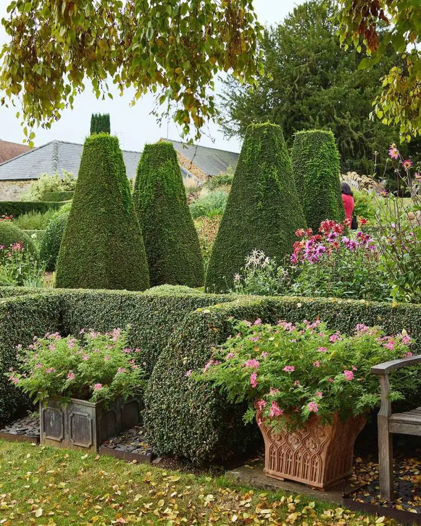 Garden with cone-shaped topiaries, pink flowers in planters, and a wooden bench