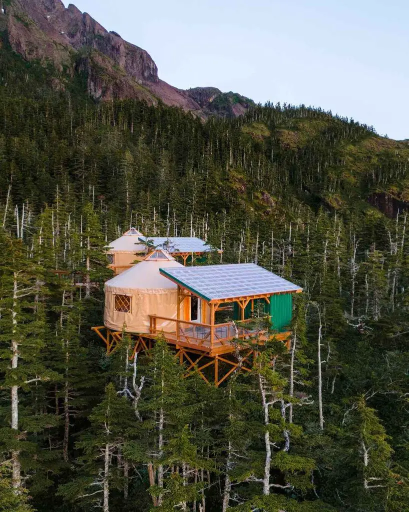 Elevated Treehouse Oasis