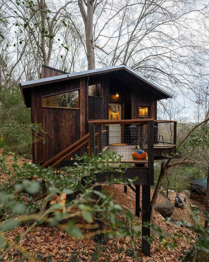 Charming elevated treehouse with a wooden deck surrounded by trees and autumn leaves