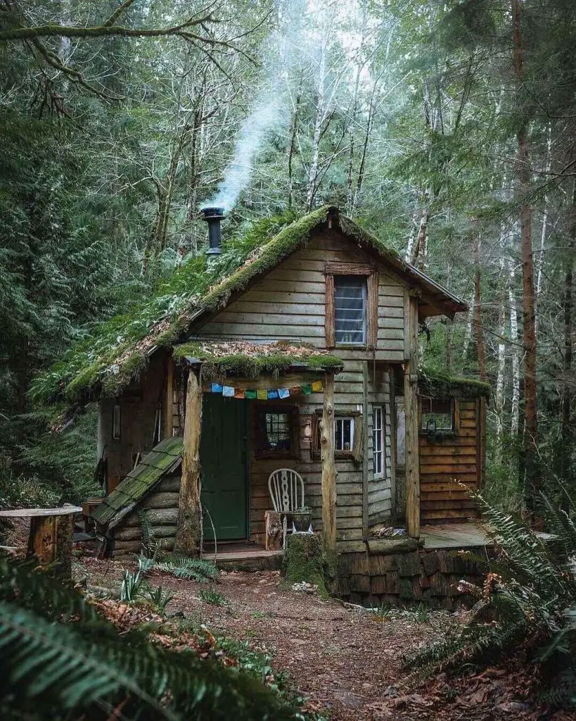 Charming cabin in the woods with smoke