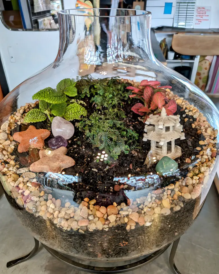 Terrarium with small plants, decorative stones, and a miniature wooden pagoda