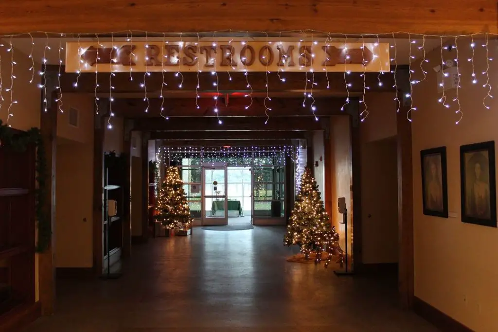 Festive hallway with Christmas trees and lights