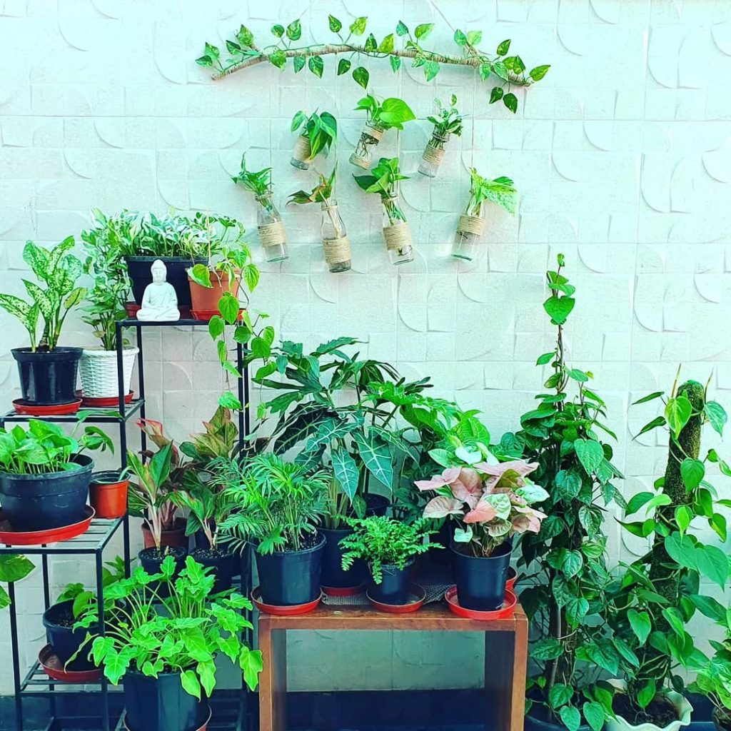 Indoor plant corner with hanging bottle planters