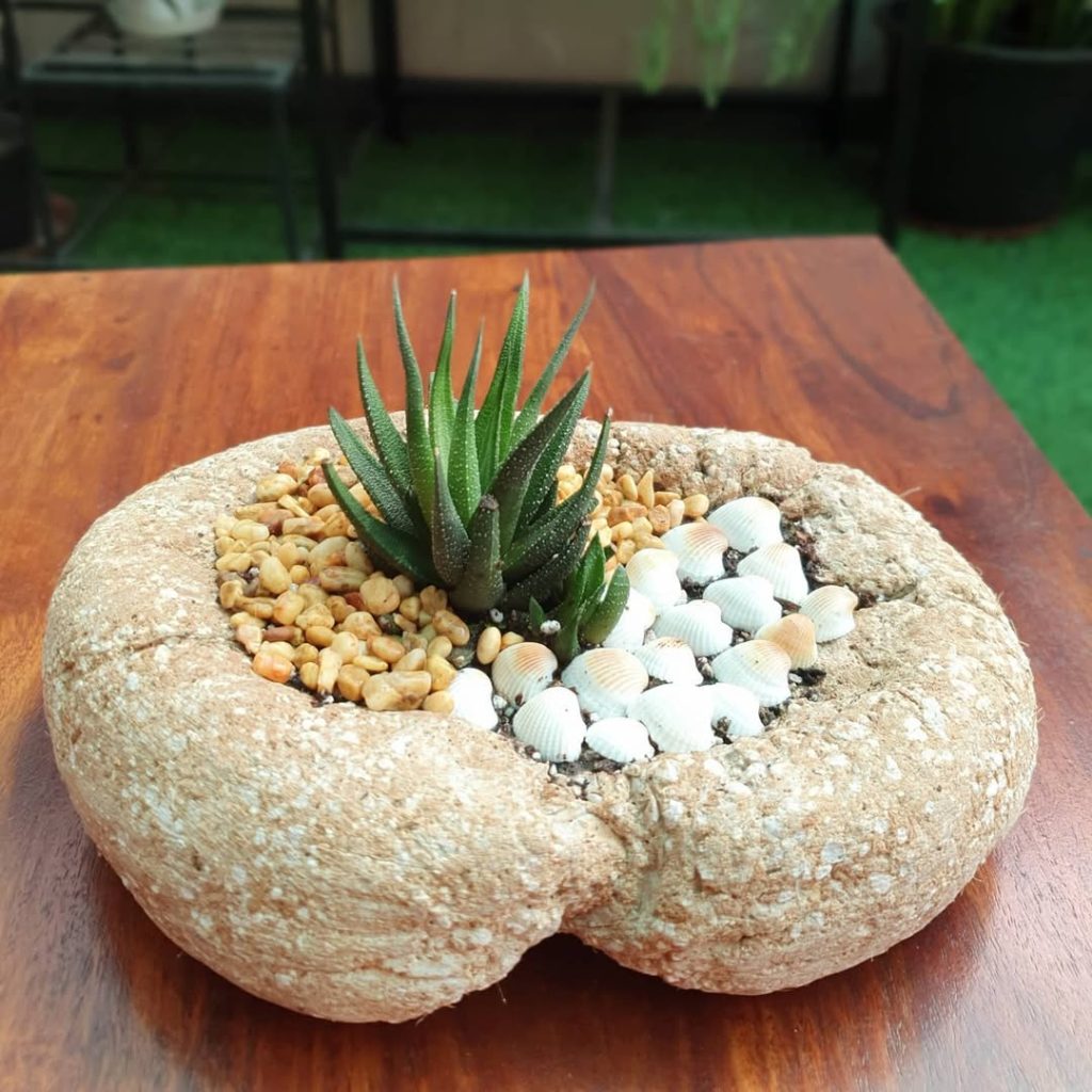 Heart hypertufa planter with shells and aloe