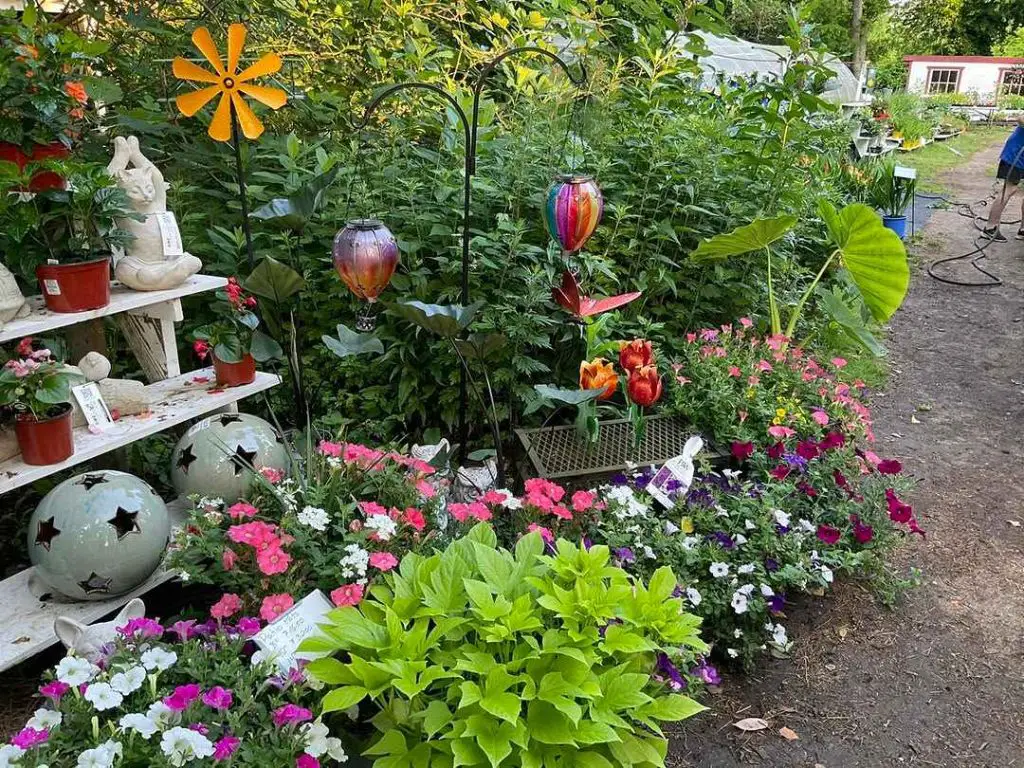 Colorful garden display with DIY dollar store decor and flowering plants