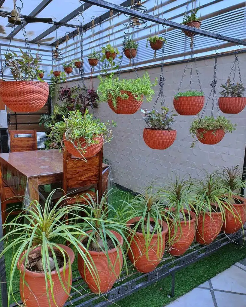 Indoor garden with hanging planters and a wooden dining table.
