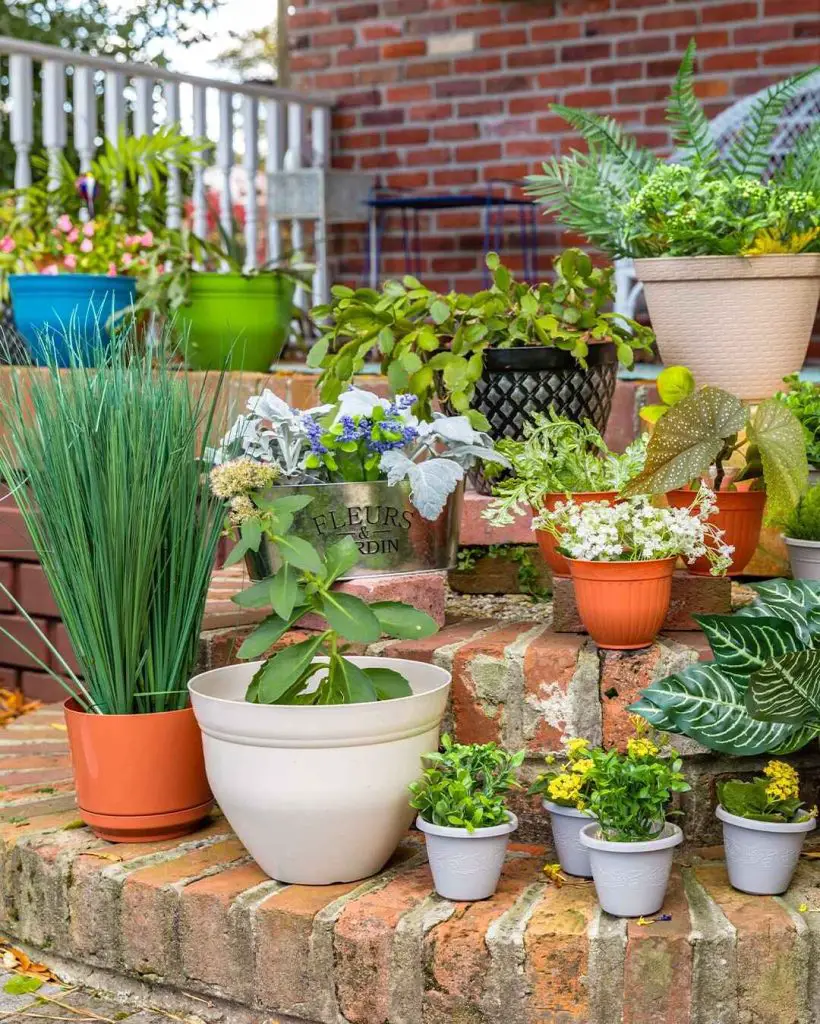 Variety of colorful potted plants arranged on brick steps, showcasing greenery and flowers in different pot styles