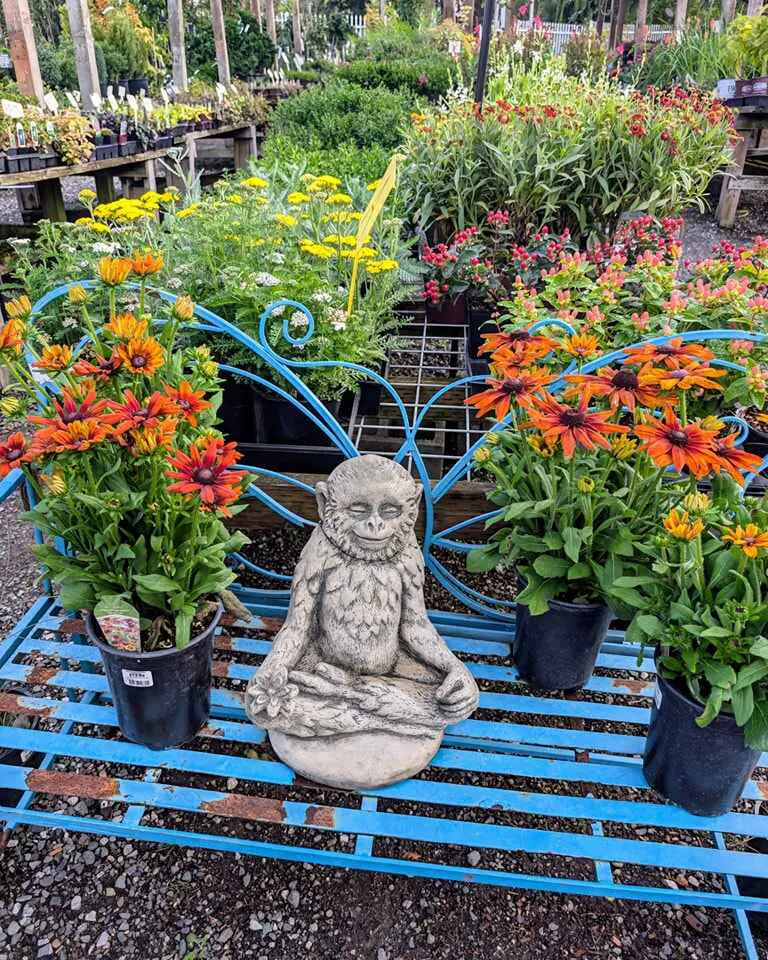 Stone meditative statue on a blue bench, flanked by vibrant flower pots in a garden center