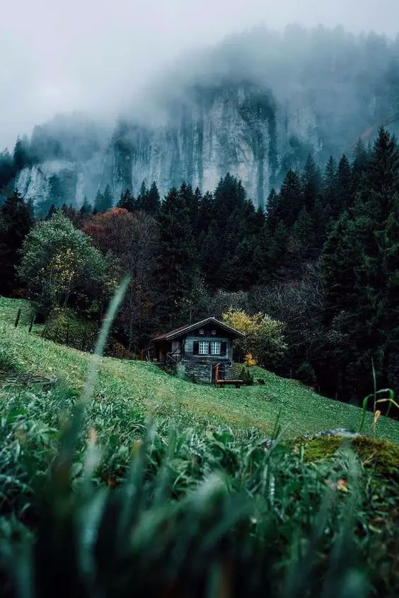 Charming wooden lodge in a misty valley, surrounded by trees and mountains, with a lush green foreground.