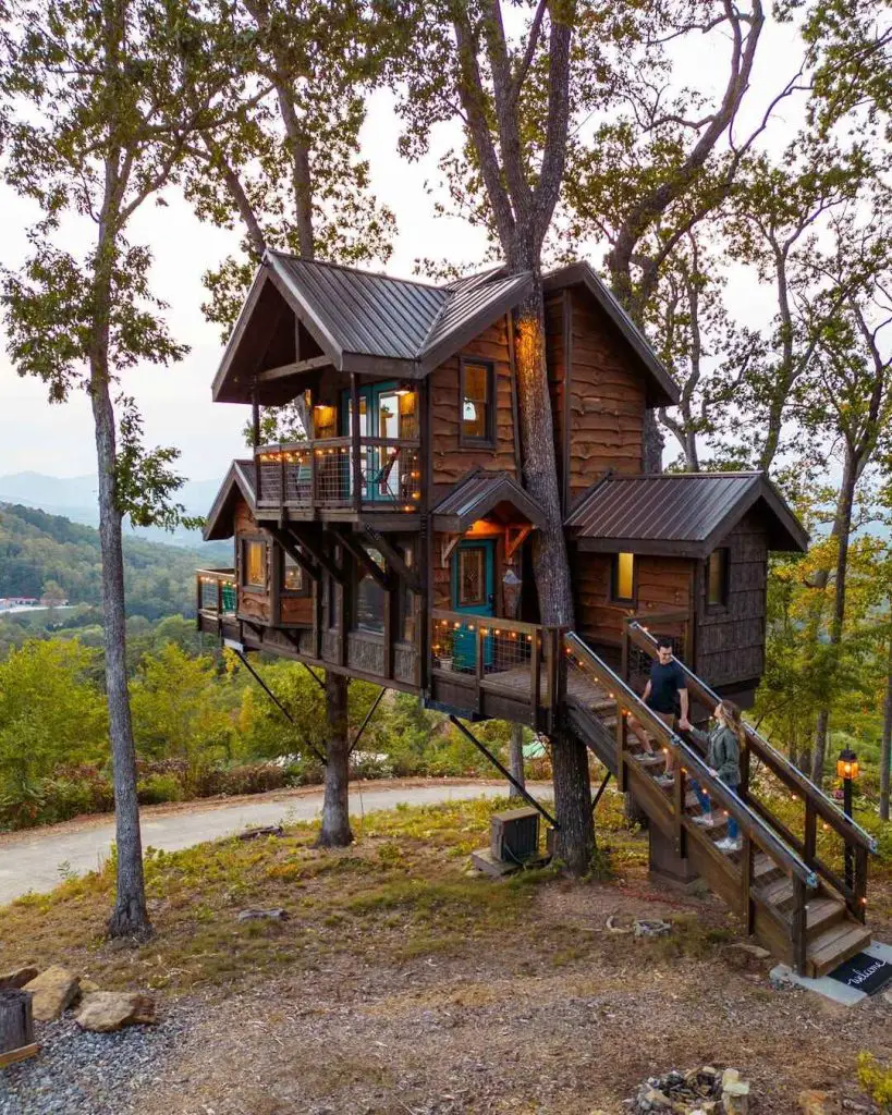 Charming elevated treehouse surrounded by trees with a wooden staircase.