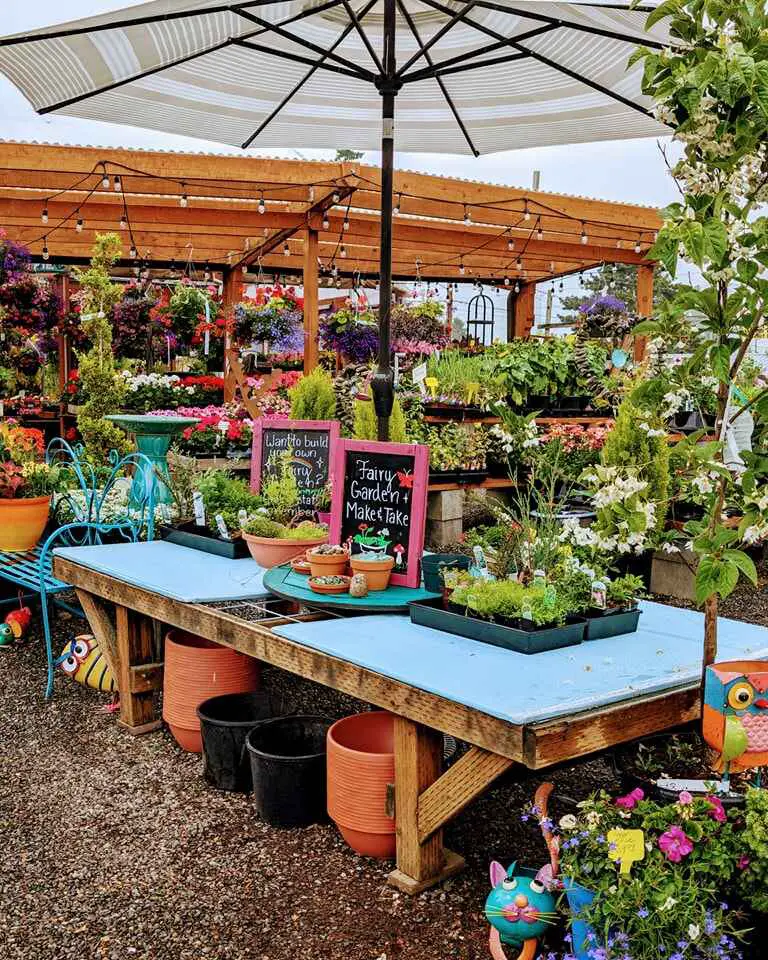 Garden center with a DIY station for fairy gardens, colorful pots, and blooming plants.