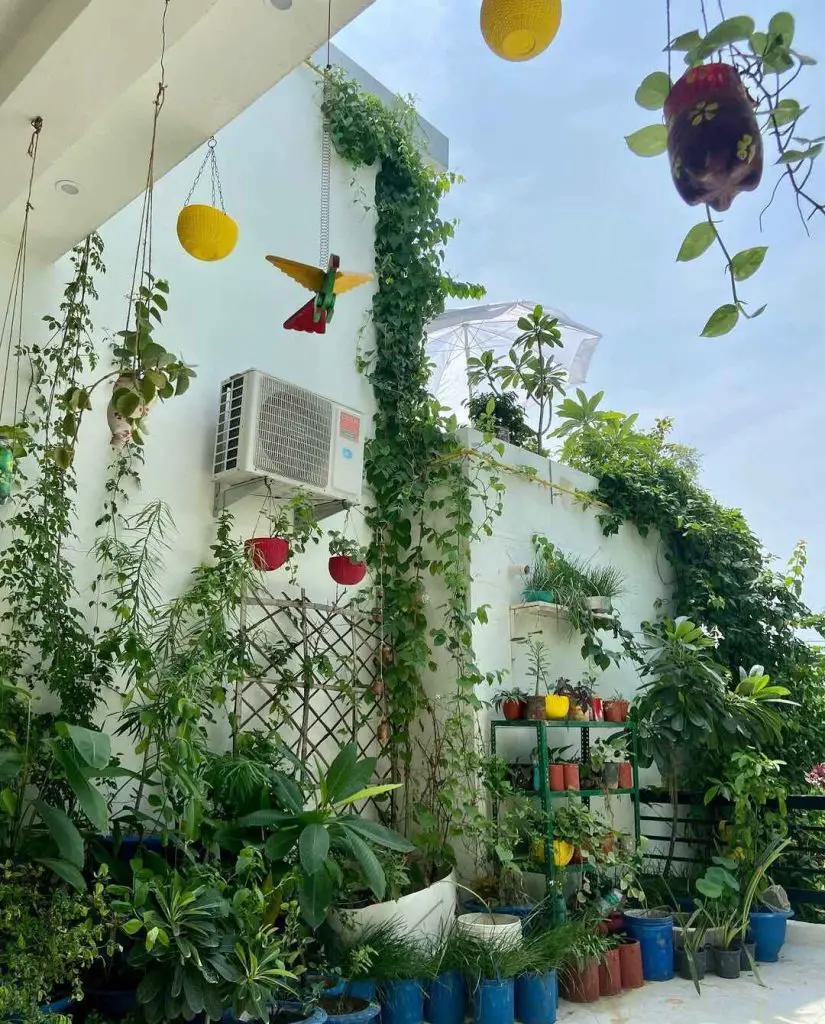 Rooftop garden with hanging plants, potted greenery, and colorful decor