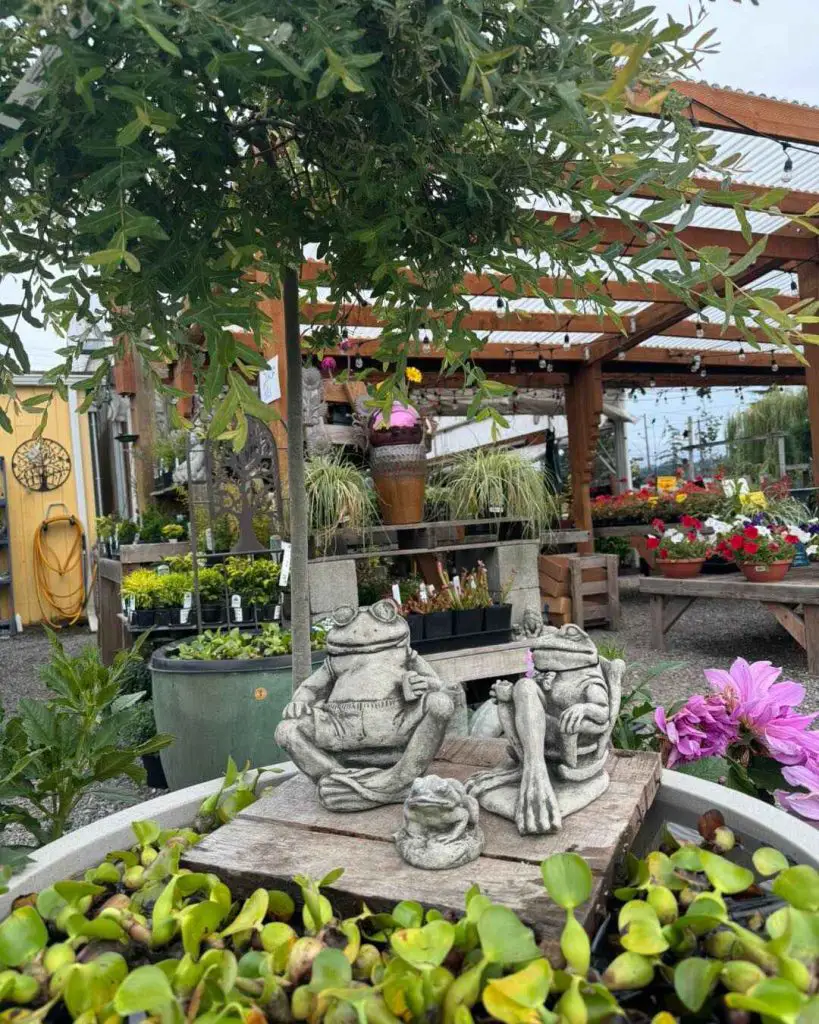 Three frog statues on a wooden platform surrounded by greenery and colorful flowers in a garden center