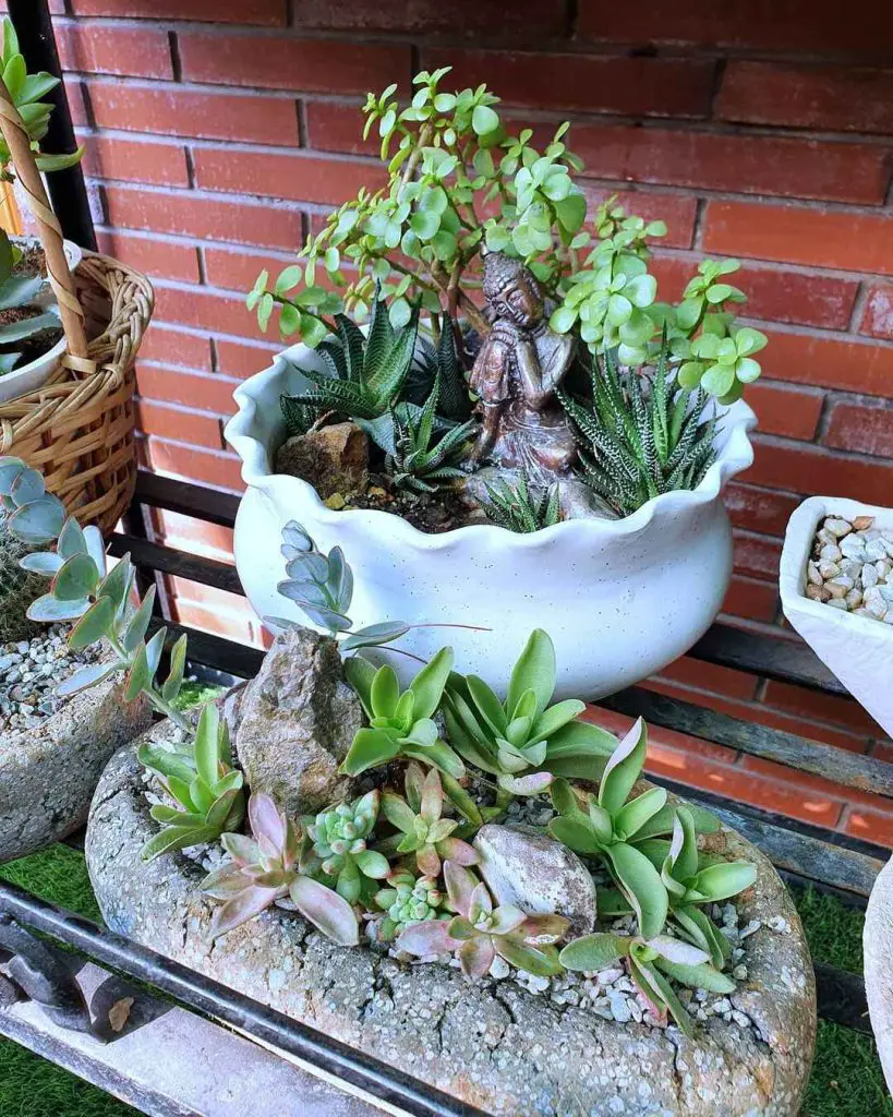 Mindful Garden Budget Transformation