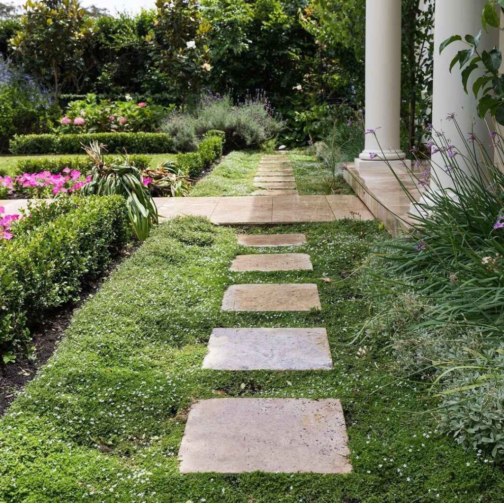 White stepping stones arranged through dense ground cover near picket fence